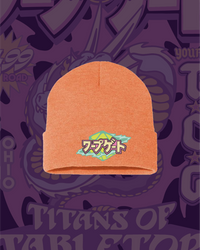 "Echoes of Ryūmon" (龍門) — Dragon Gate Beanie