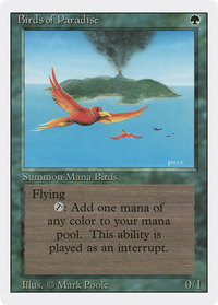 Birds of Paradise [Revised Edition]