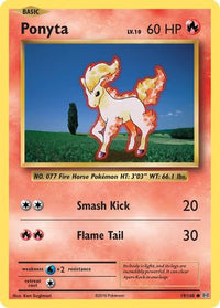 Ponyta 019  XY  Evolutions - Common