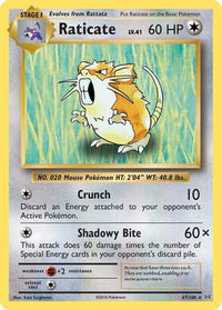Raticate 067  XY  Evolutions - Rare