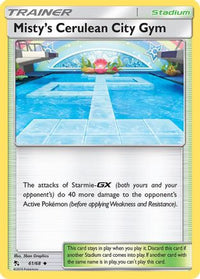 Misty's Cerulean City Gym 061  Hidden Fates - Uncommon