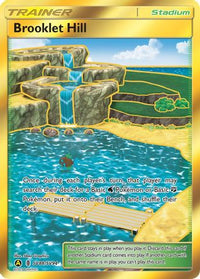 Brooklet Hill SV88/SV94  - Holofoil Hidden Fates Shiny Vault - Shiny Holo Rare
