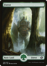 Forest (286) [The Brothers' War]