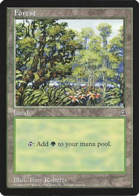 Forest (Arena League) -  (OVER-) - Oversize Cards