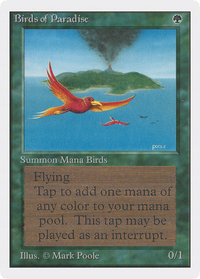 Birds of Paradise [Unlimited Edition]