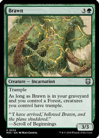 Brawn (Ripple Foil) -  Foil (M3C-224) - Modern Horizons 3 Commander