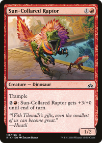 Sun-Collared Raptor [Rivals of Ixalan]