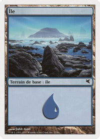 Island (French) - "Ile" (E21) (PSAL-E21) - Magic Encyclopedia 2005 (Salvat/Hachette)