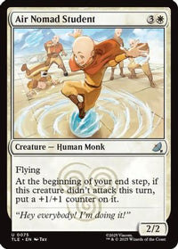 Air Nomad Student -  (TLE-075) - Avatar: The Last Airbender: Eternal-Legal