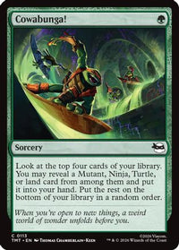 Cowabunga! -  (TMT-113) - Teenage Mutant Ninja Turtles