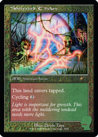 Sheltered Thicket -  Foil (SLD-2522) - Secret Lair Drop Series