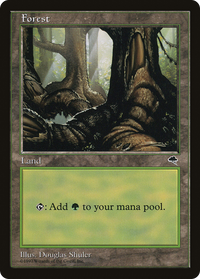 Forest (Large Roots) [Tempest]