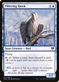 Pilfering Hawk [Kaldheim]