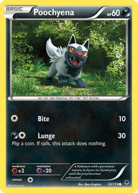 Poochyena 053  XY  Phantom Forces - Common