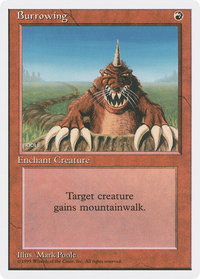 Burrowing [Fourth Edition]