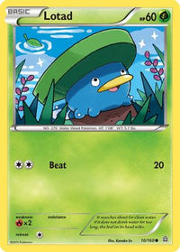 Lotad 010  XY  Primal Clash - Common