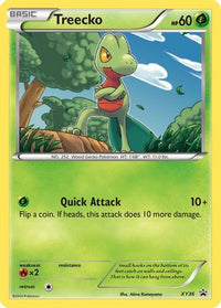 Treecko - XY36  - Holofoil XY Promos - Promo