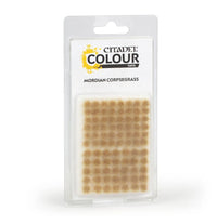 Citadel Colour: Mordian Corpsegrass