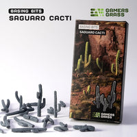 Basing Bits: Saguaro Cacti
