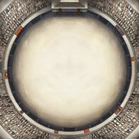 Arena Rex - Arena Mat