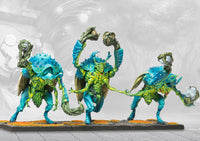 Gallowglass Wardens