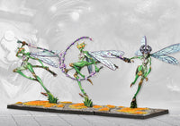 Weaver Courts: Scaile Dancers