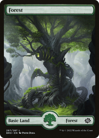 Forest (287) [The Brothers' War]