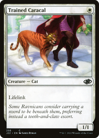 Trained Caracal [Jumpstart 2022]