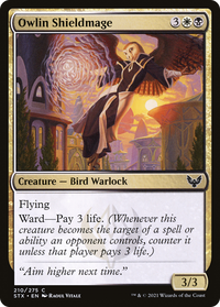 Owlin Shieldmage [Strixhaven: School of Mages]