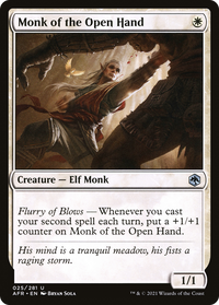 Monk of the Open Hand [Dungeons & Dragons: Adventures in the Forgotten Realms]