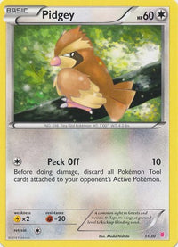 Pidgey (#11)  XY Trainer Kit Bisharp & Wigglytuff - Common