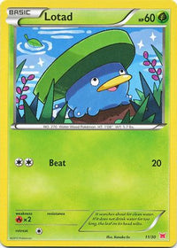 Lotad (#11)  XY Trainer Kit Latias & Latios - Common