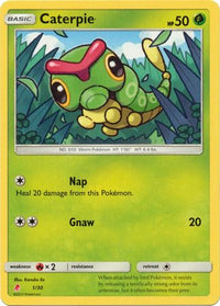 Caterpie  SM Trainer Kit Lycanroc & Alolan Raichu - Common