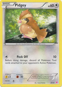 Pidgey (#29)  XY Trainer Kit Bisharp & Wigglytuff - Common