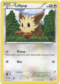 Lillipup (#1)  BW Trainer Kit Excadrill & Zoroark - Common