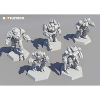 BATTLETECH: Clan Striker Star