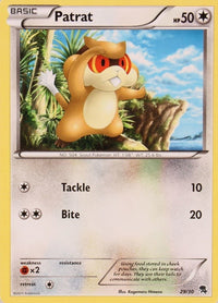 Patrat (#29)  BW Trainer Kit Excadrill & Zoroark - Common
